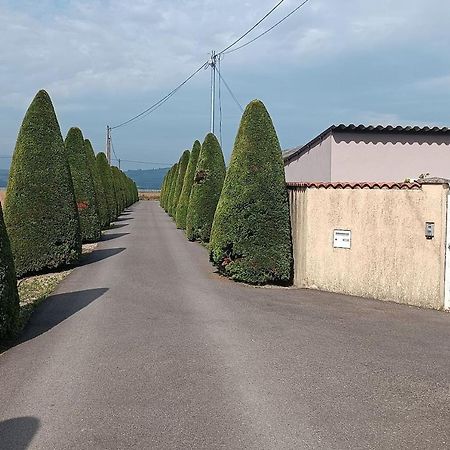 Charmante Maison Avec Piscine Anneyron Zewnętrze zdjęcie