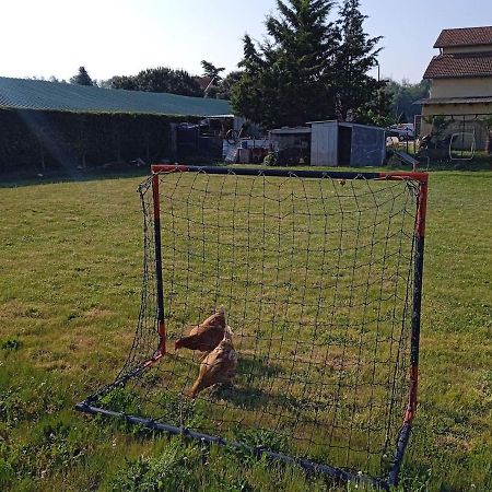 Charmante Maison Avec Piscine Anneyron Zewnętrze zdjęcie