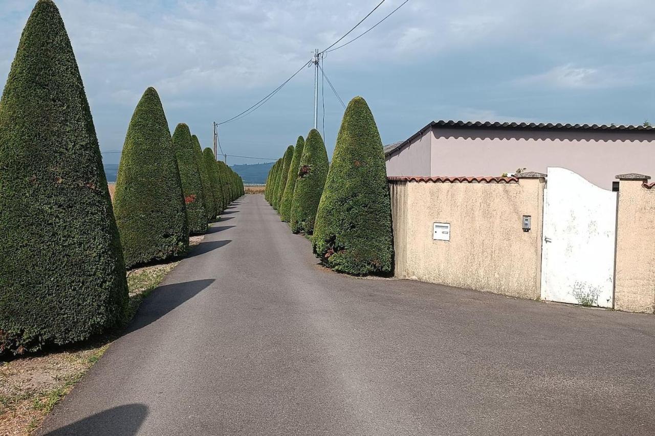 Charmante Maison Avec Piscine Anneyron Zewnętrze zdjęcie