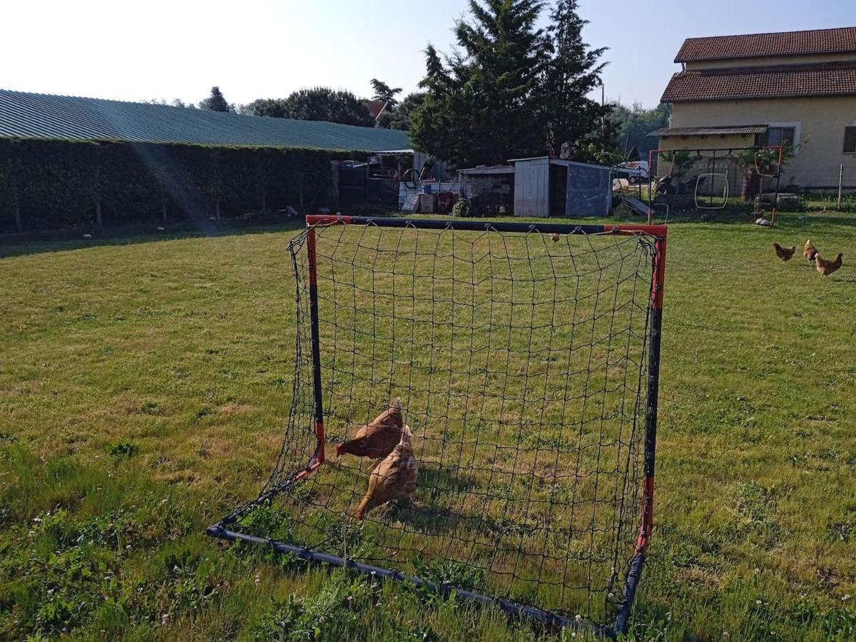 Charmante Maison Avec Piscine Anneyron Zewnętrze zdjęcie